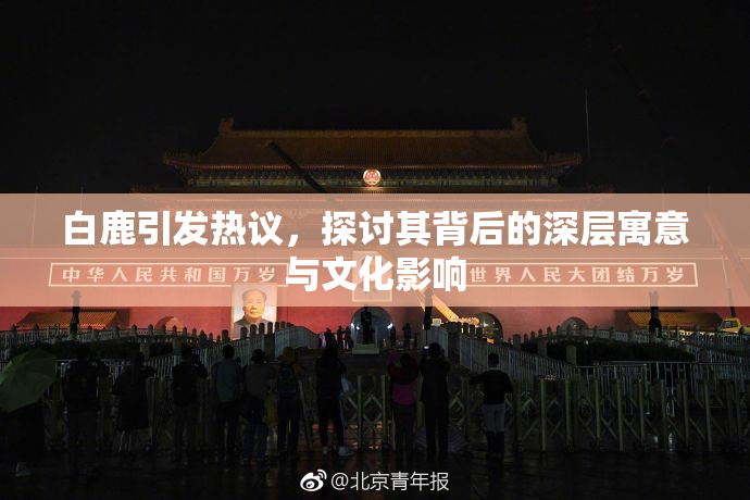 白鹿引发热议，探讨其背后的深层寓意与文化影响