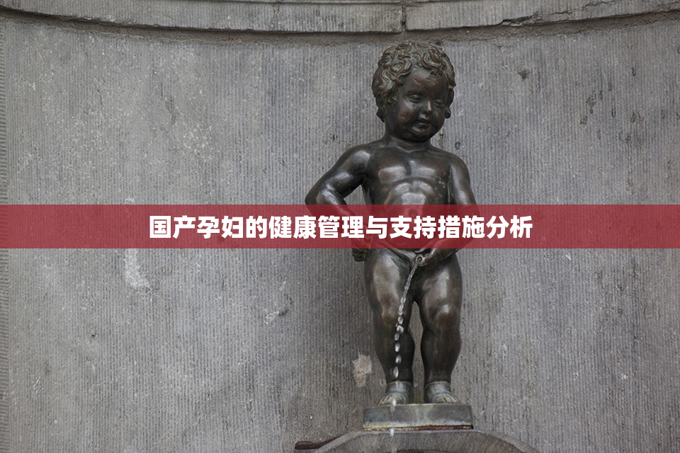 国产孕妇的健康管理与支持措施分析