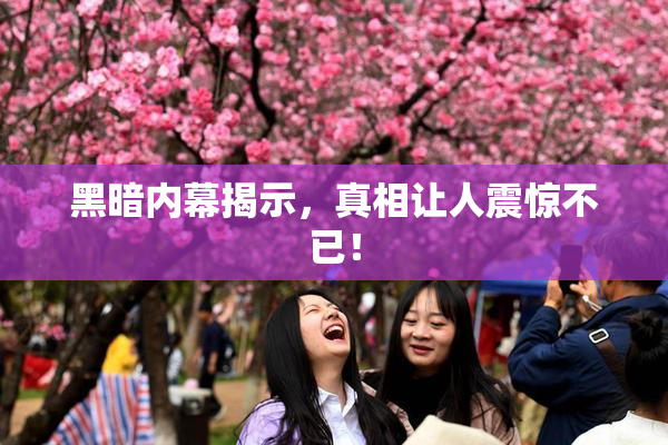 黑暗内幕揭示，真相让人震惊不已！