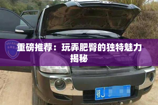 重磅推荐：玩弄肥臀的独特魅力揭秘