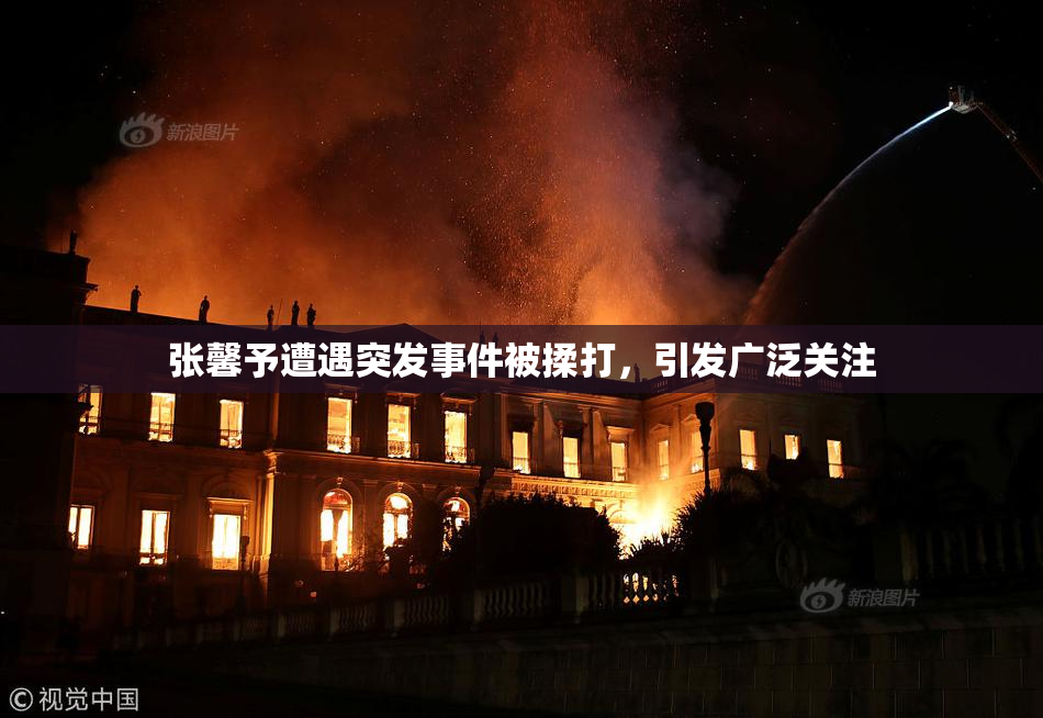 张馨予遭遇突发事件被揉打，引发广泛关注