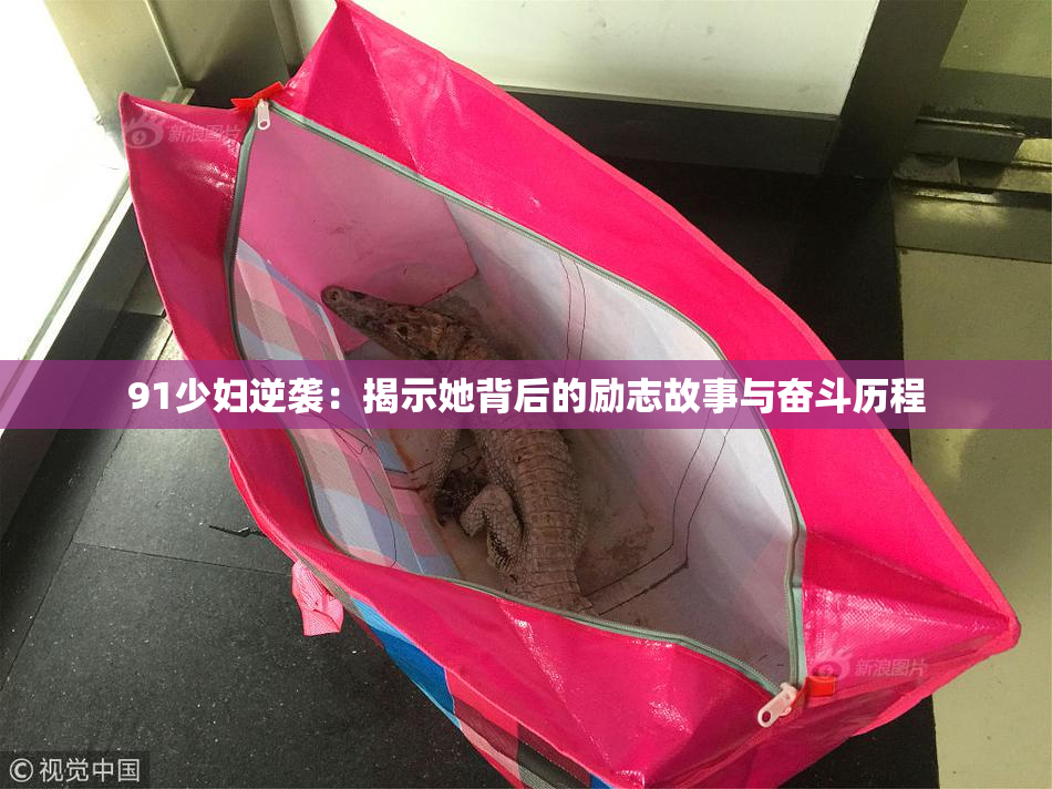 91少妇逆袭：揭示她背后的励志故事与奋斗历程