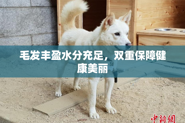 毛发丰盈水分充足，双重保障健康美丽