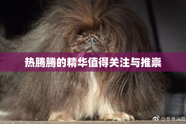 热腾腾的精华值得关注与推崇