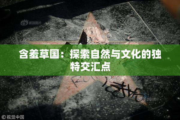 含羞草国：探索自然与文化的独特交汇点