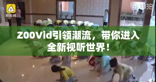 Z00Vid引领潮流，带你进入全新视听世界！