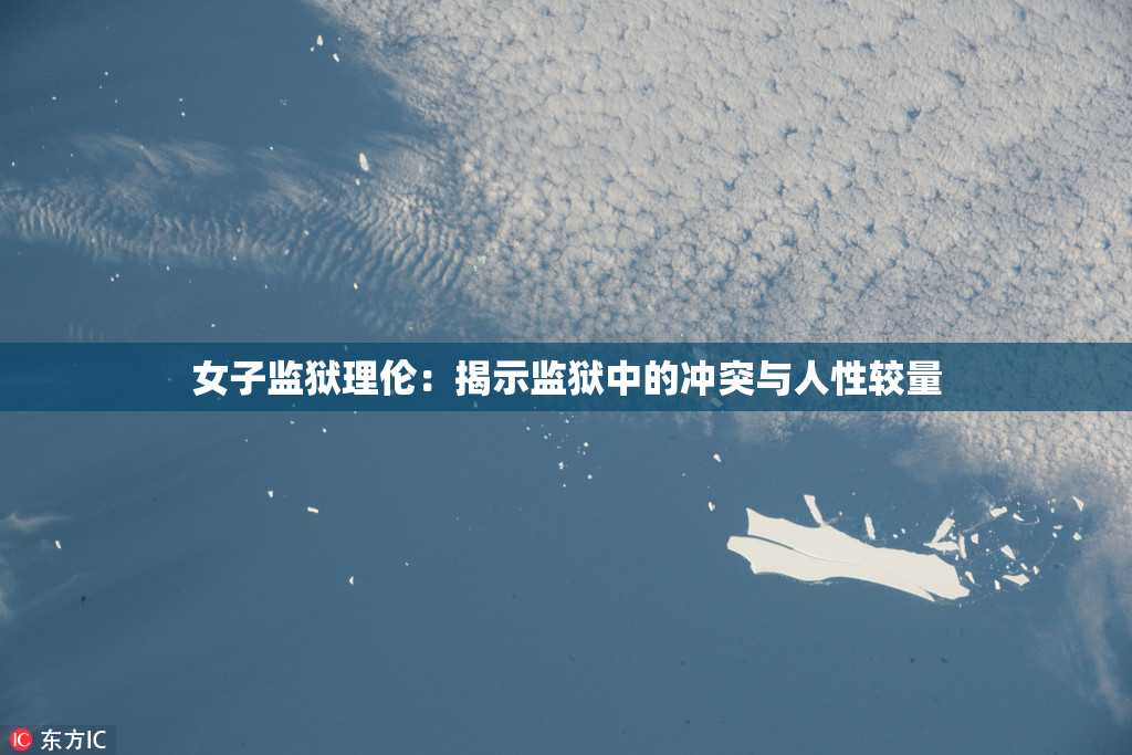 女子监狱理伦：揭示监狱中的冲突与人性较量