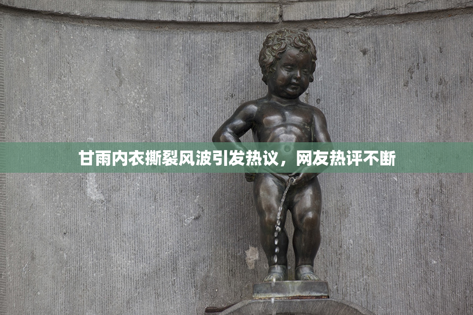 甘雨内衣撕裂风波引发热议，网友热评不断