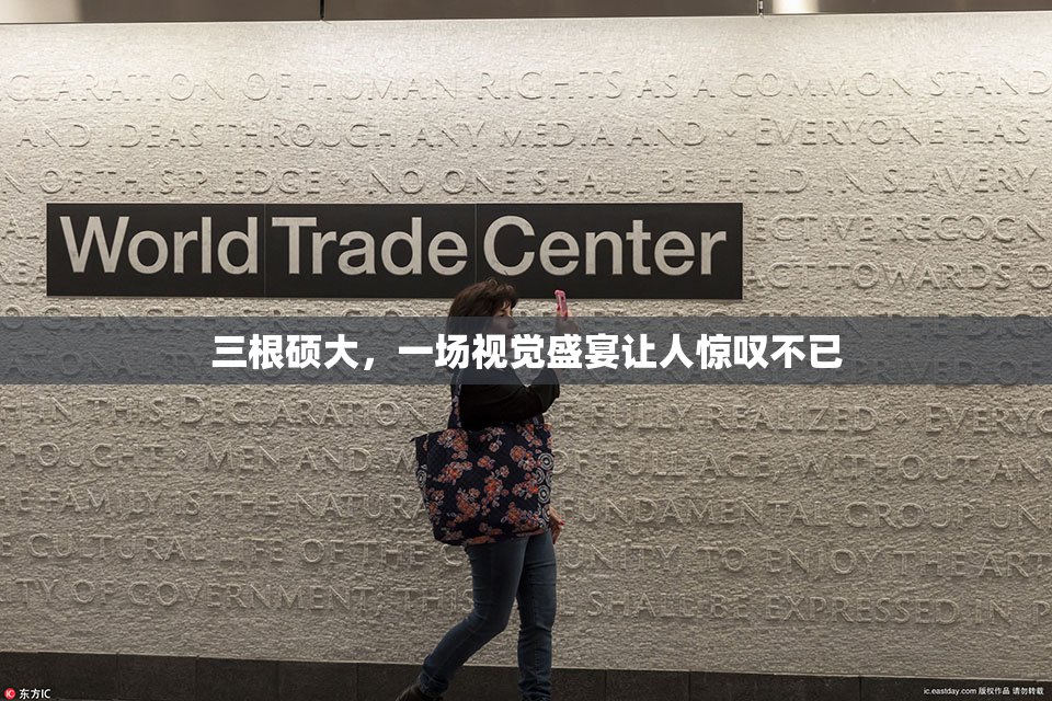 三根硕大，一场视觉盛宴让人惊叹不已