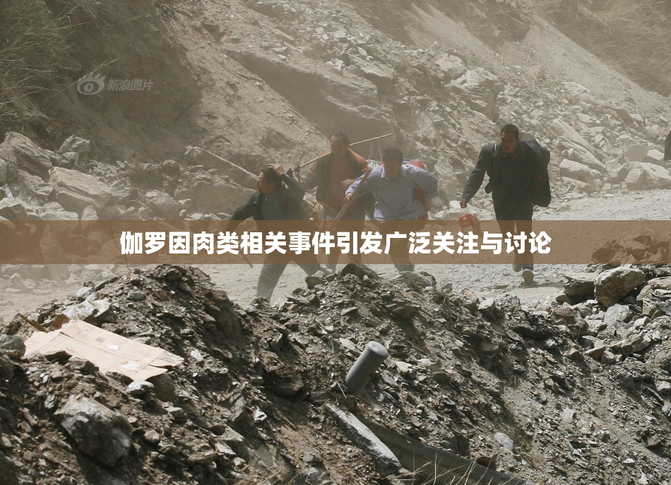 伽罗因肉类相关事件引发广泛关注与讨论