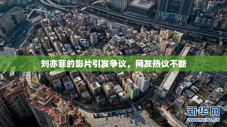 刘亦菲的影片引发争议，网友热议不断