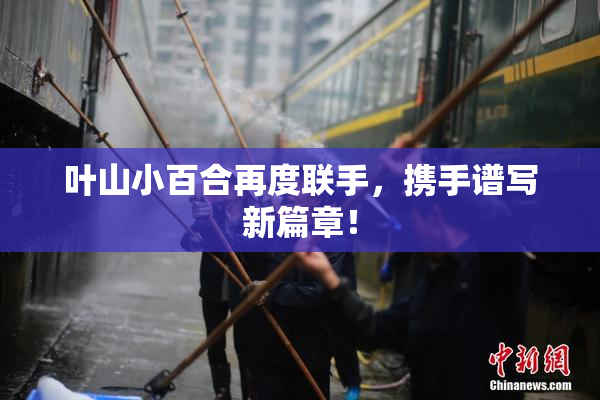 叶山小百合再度联手，携手谱写新篇章！