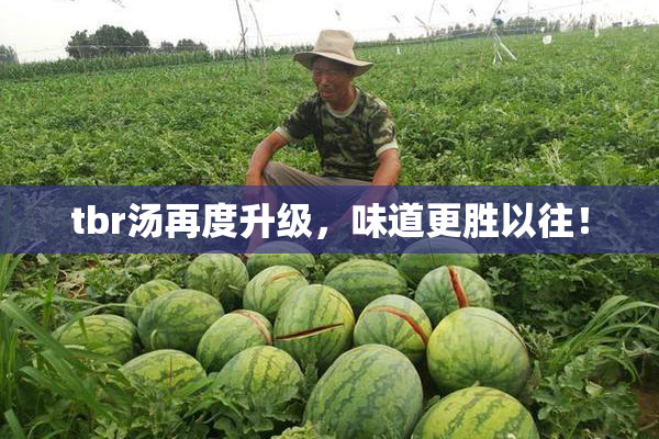 tbr汤再度升级，味道更胜以往！