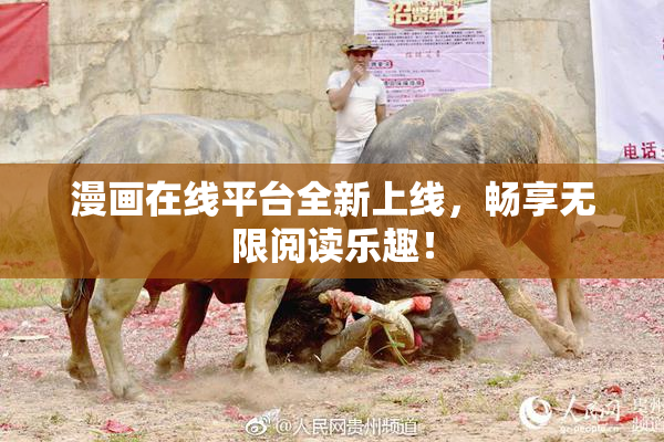 漫画在线平台全新上线，畅享无限阅读乐趣！