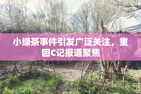 小绿茶事件引发广泛关注，重回C记报道聚焦