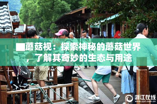 ▇蘑菇视：探索神秘的蘑菇世界，了解其奇妙的生态与用途