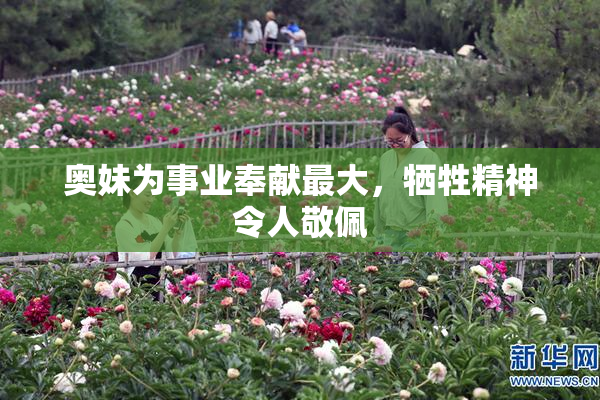 奥妹为事业奉献最大，牺牲精神令人敬佩