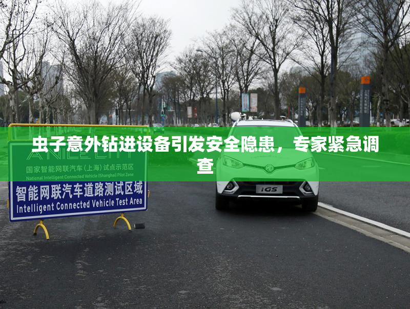 虫子意外钻进设备引发安全隐患，专家紧急调查