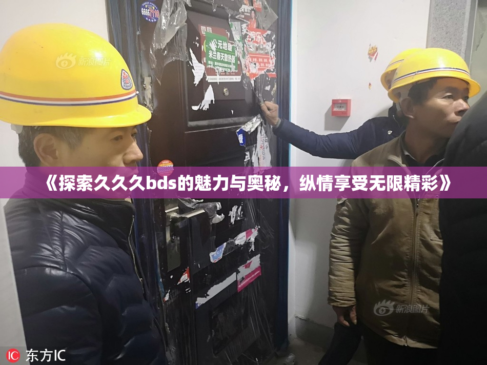 《探索久久久bds的魅力与奥秘，纵情享受无限精彩》