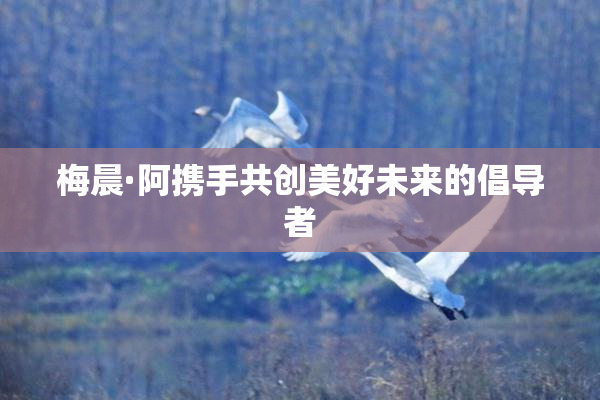 梅晨·阿携手共创美好未来的倡导者