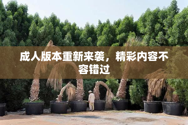 成人版本重新来袭，精彩内容不容错过
