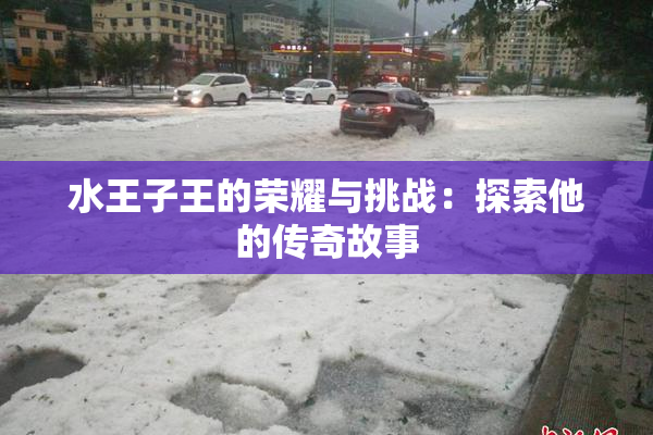 水王子王的荣耀与挑战：探索他的传奇故事