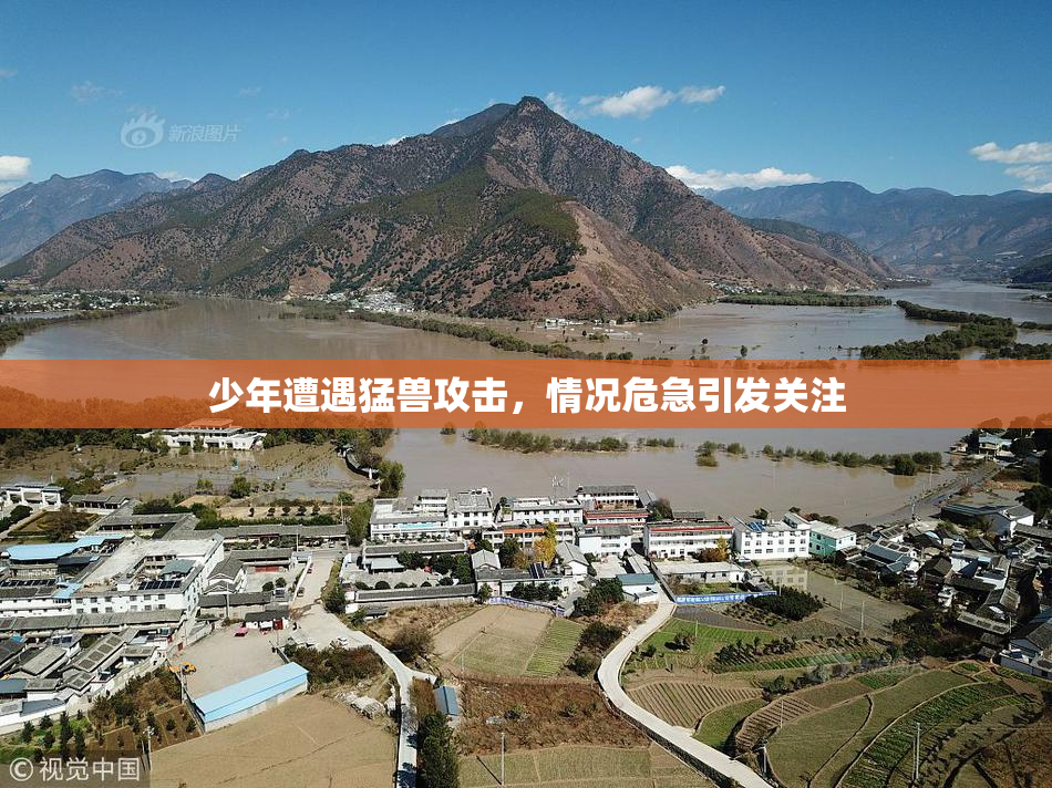少年遭遇猛兽攻击，情况危急引发关注