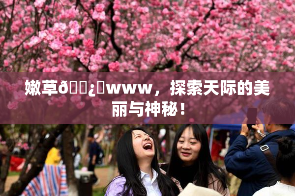 嫩草🌿‌www，探索天际的美丽与神秘！