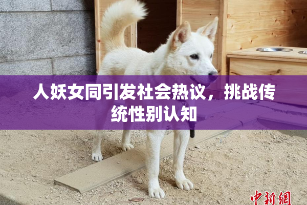 人妖女同引发社会热议，挑战传统性别认知