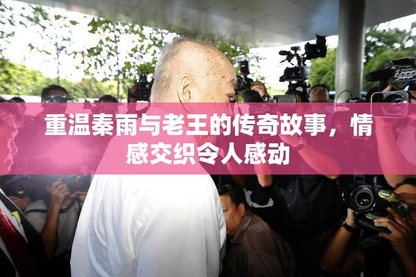 重温秦雨与老王的传奇故事，情感交织令人感动