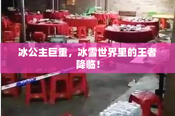 冰公主巨重，冰雪世界里的王者降临！