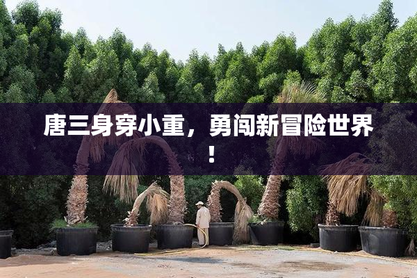 唐三身穿小重，勇闯新冒险世界！