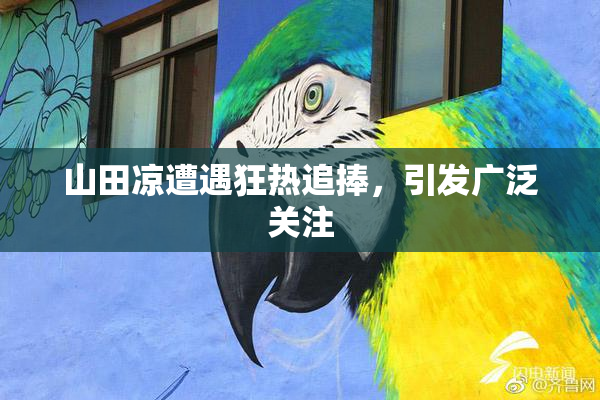 山田凉遭遇狂热追捧，引发广泛关注