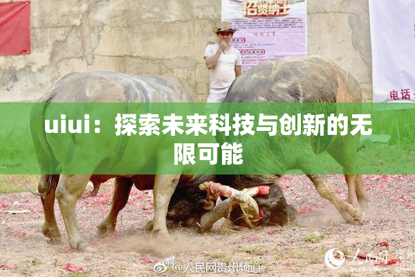 uiui：探索未来科技与创新的无限可能