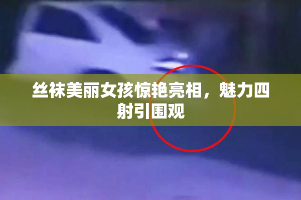 丝袜美丽女孩惊艳亮相，魅力四射引围观