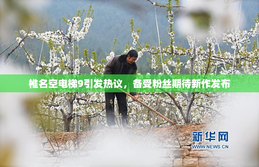 椎名空电梯9引发热议，备受粉丝期待新作发布