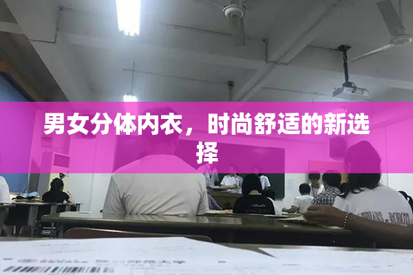 男女分体内衣，时尚舒适的新选择