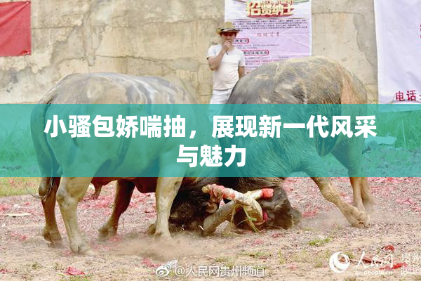 小骚包娇喘抽，展现新一代风采与魅力