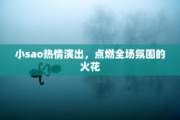 小sao热情演出，点燃全场氛围的火花