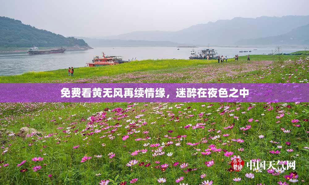 免费看黄无风再续情缘，迷醉在夜色之中