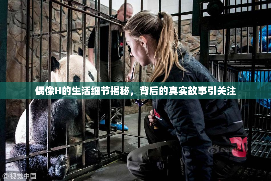 偶像H的生活细节揭秘，背后的真实故事引关注