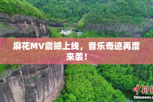 麻花MV震撼上线，音乐奇迹再度来袭！