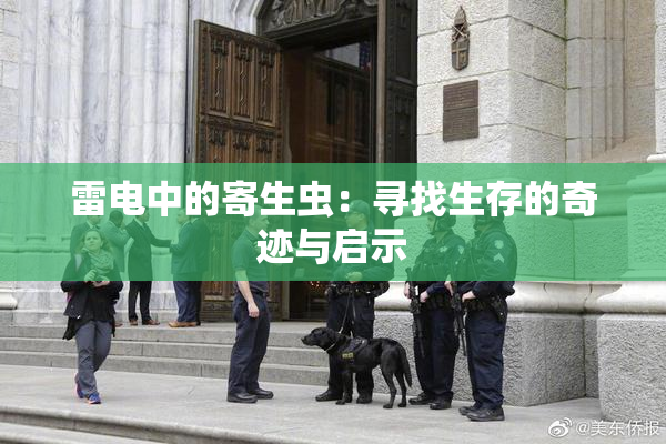 雷电中的寄生虫：寻找生存的奇迹与启示