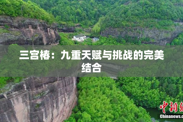 三宫椿：九重天赋与挑战的完美结合