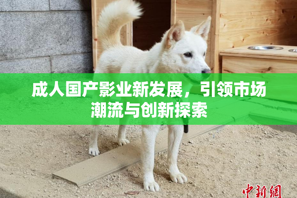 成人国产影业新发展，引领市场潮流与创新探索