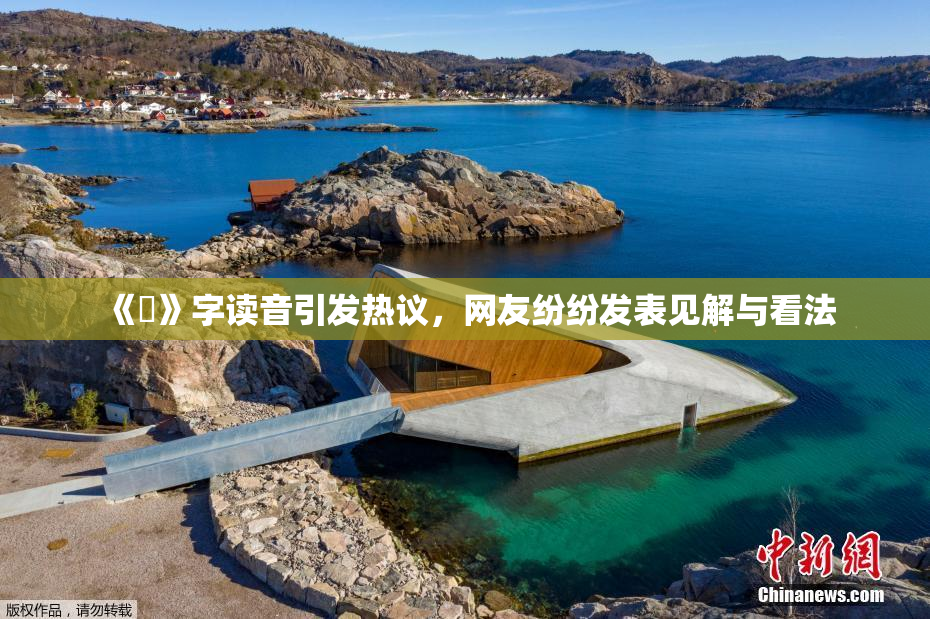 《屍》字读音引发热议，网友纷纷发表见解与看法
