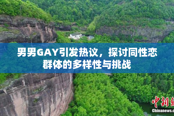 男男GAY引发热议，探讨同性恋群体的多样性与挑战