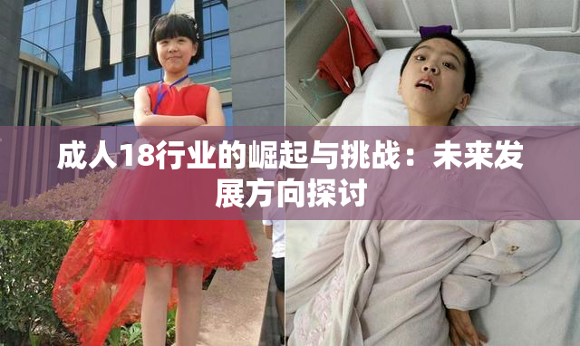 成人18行业的崛起与挑战：未来发展方向探讨