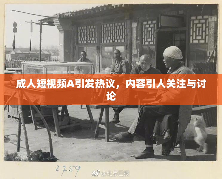 成人短视频A引发热议，内容引人关注与讨论