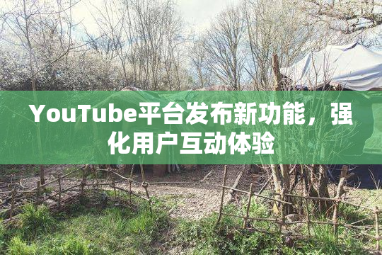 YouTube平台发布新功能，强化用户互动体验